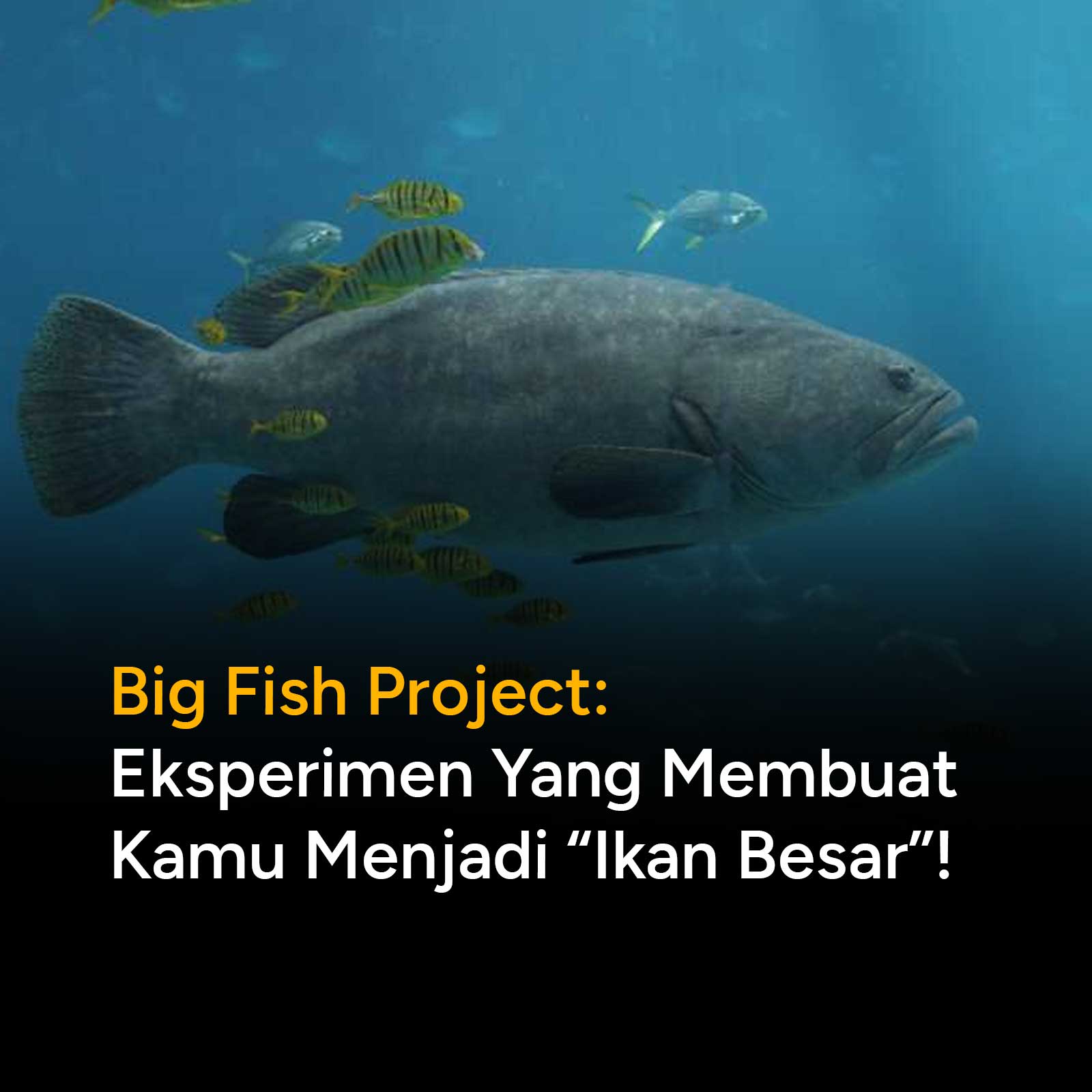 Berikut ini kultwit @noverinahhh , seorang alumni Carrot Academy yang berani mencoba menjadi seorang valuable artist. Big Fish Project sendiri adalah sebuah value dan knowledge yang selalu di tanamkan ketika belajar ILLUSTRASI di Carrot Academy