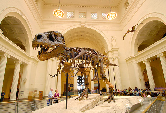 field-museum-636x431