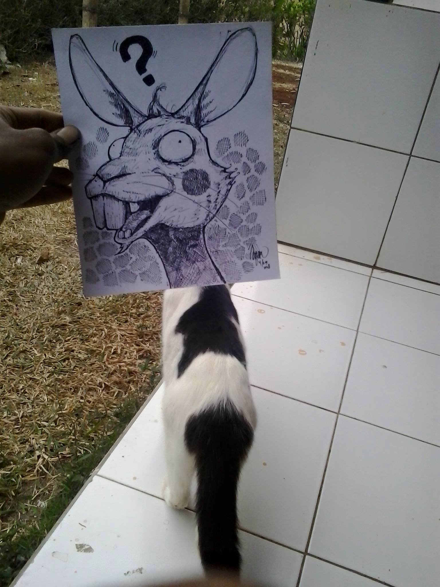 Anjar Purpito Suryoraningrat