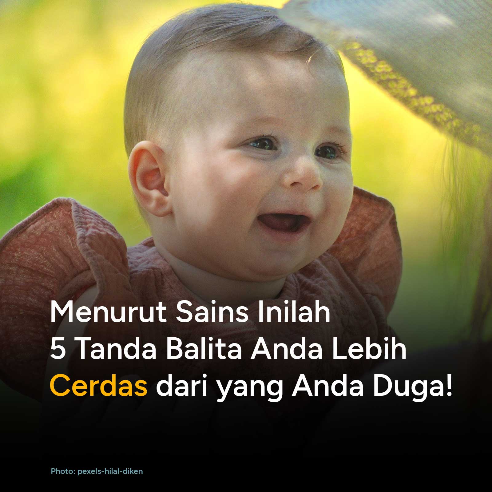 Bukan sekadar berulah, aksi melempar barang atau meniru ucapan ternyata menandakan otak balita sedang berkembang pesat. Simak penjelasan ahli neurosains dan pakar parenting tentang kecerdasan tersembunyi si kecil.